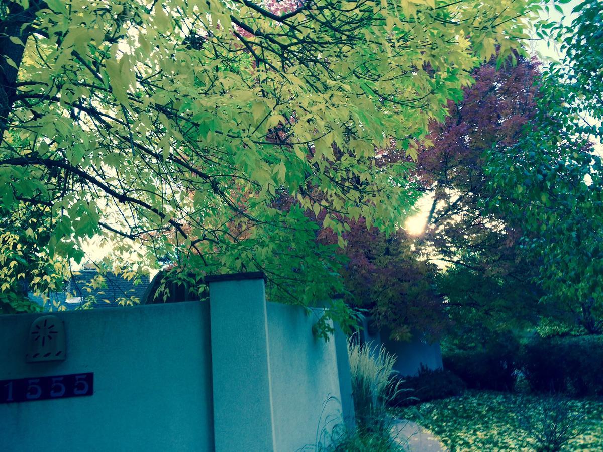 1555 Norwood Ave. Boulder Appartement Buitenkant foto